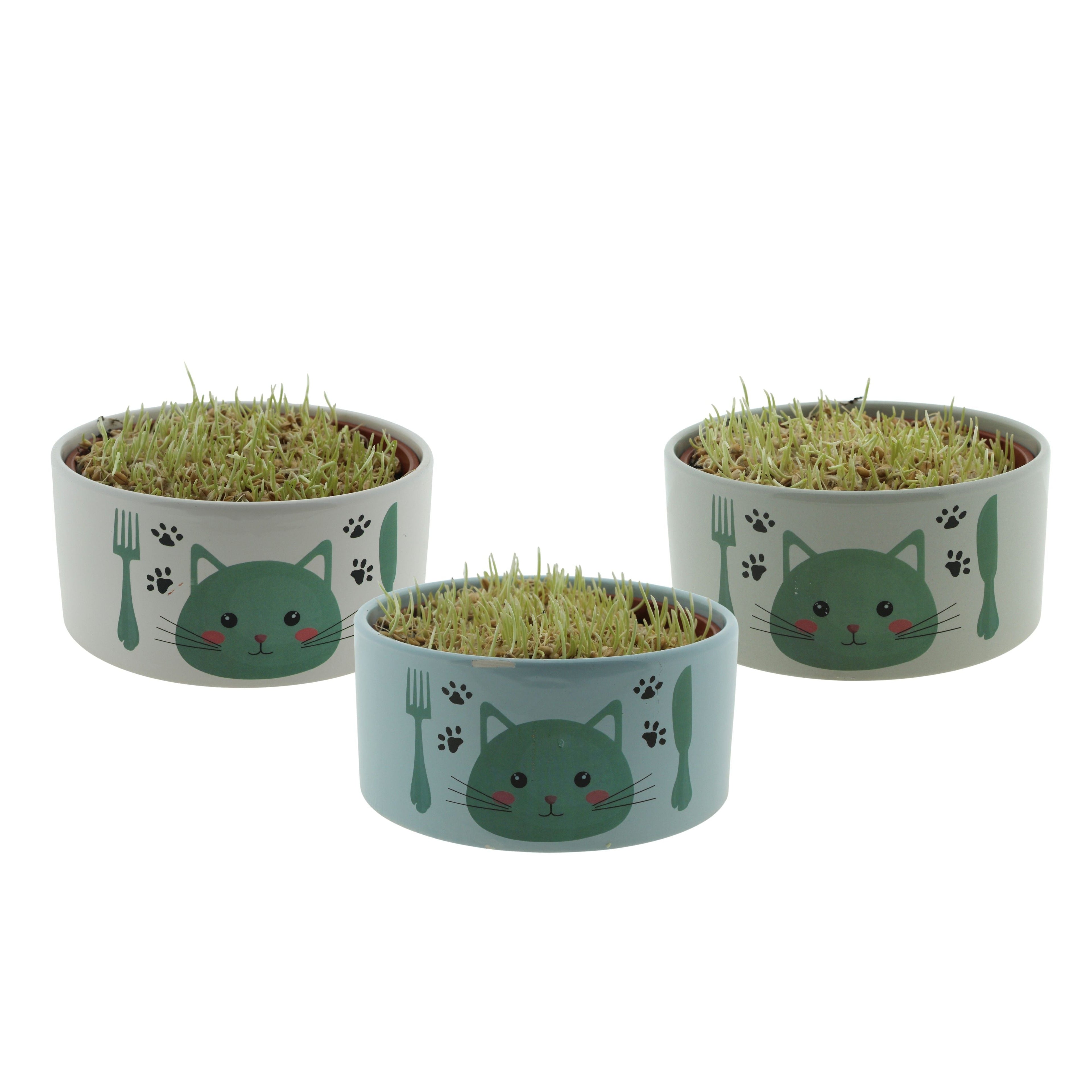 Kattegras Keramiek Kattenvoerbak