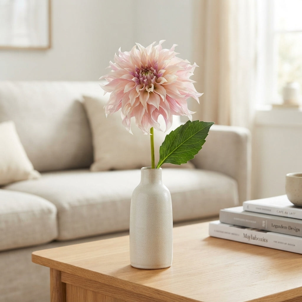 Dahlia ‘Café au Lait’ – 55cm Pink Cut Stems