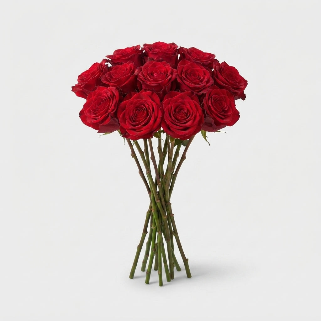 Rose Red Naomi Van Den Ende