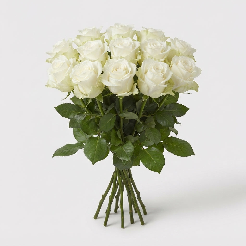 Rose - Rosa - Avalanche Meijer