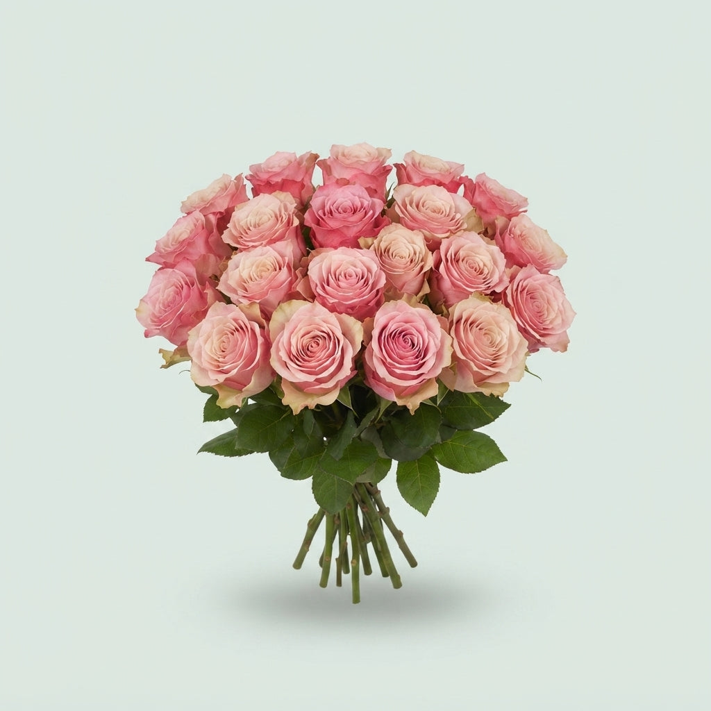 Rose - Rosa - Ramonda