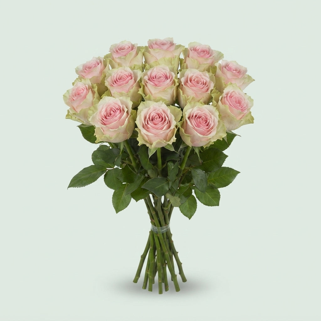 Rose - Rosa - Frutteto