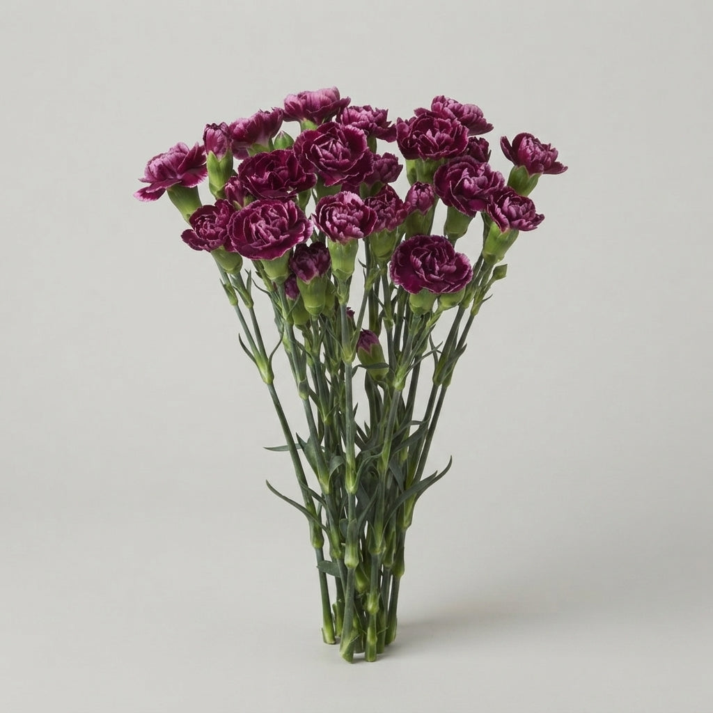 Carnation Spray Berry