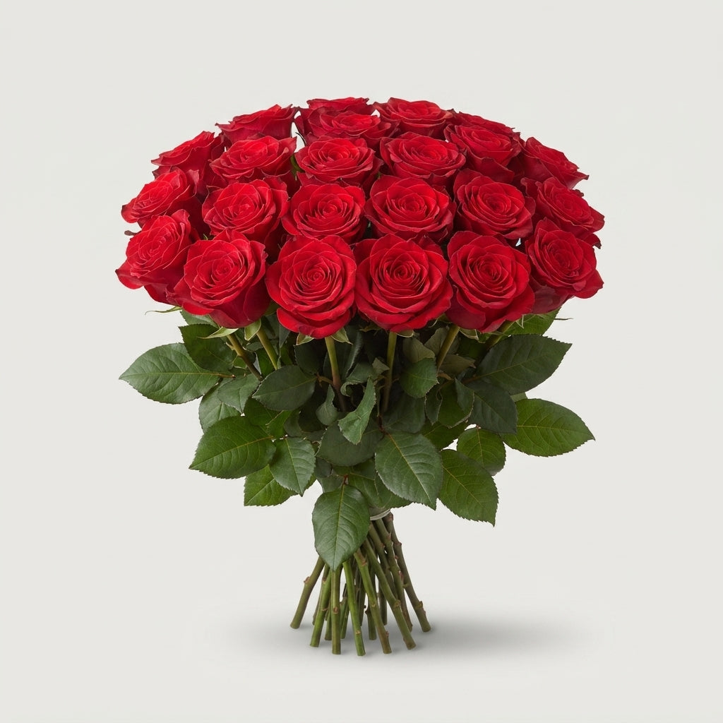Rose - Rosa - Monte Carlo