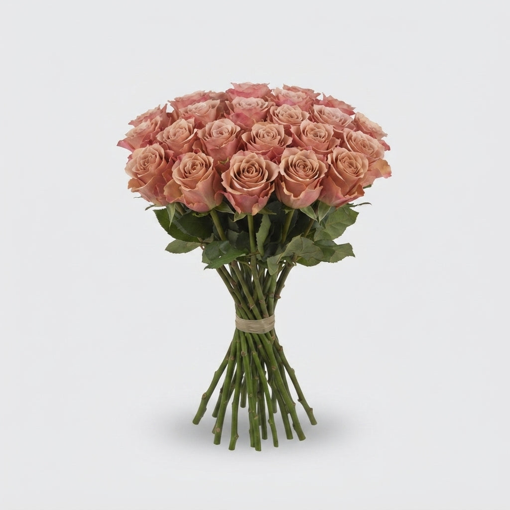 Rose - Rosa - Moccachino