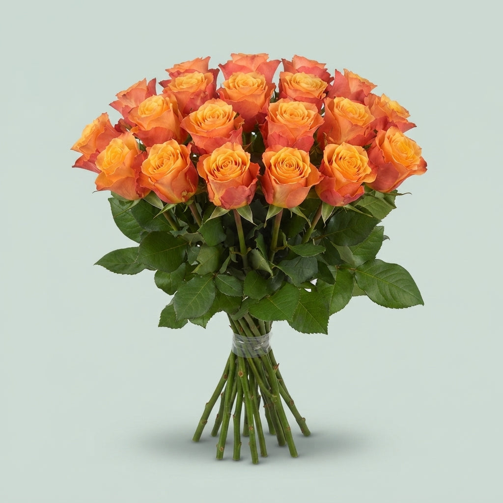 Rose - Rosa - Mélange