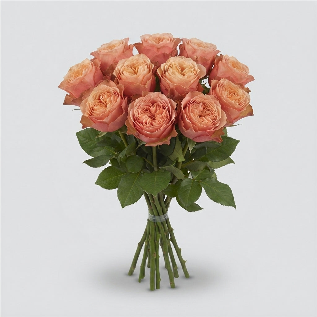 Rose - Rosa - Kahala