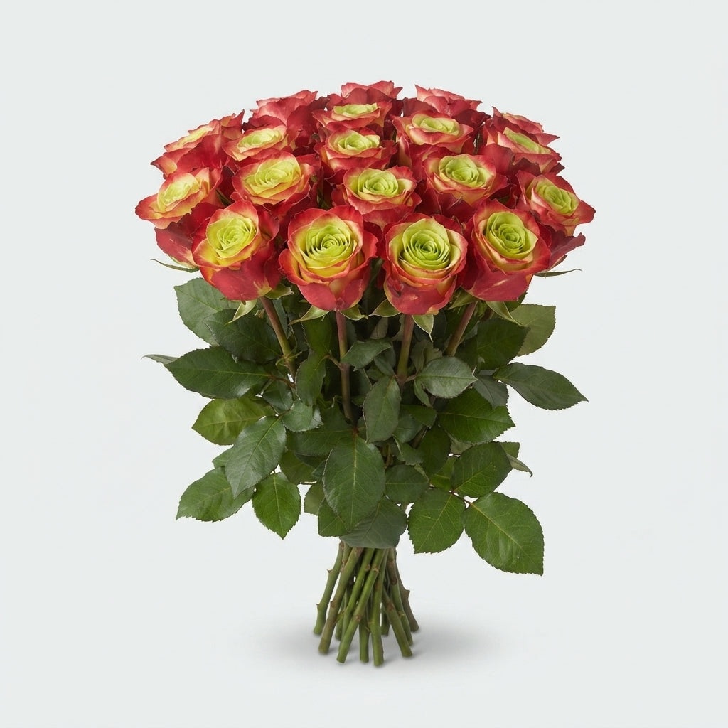 Rose - Rosa - Eagle Eye+