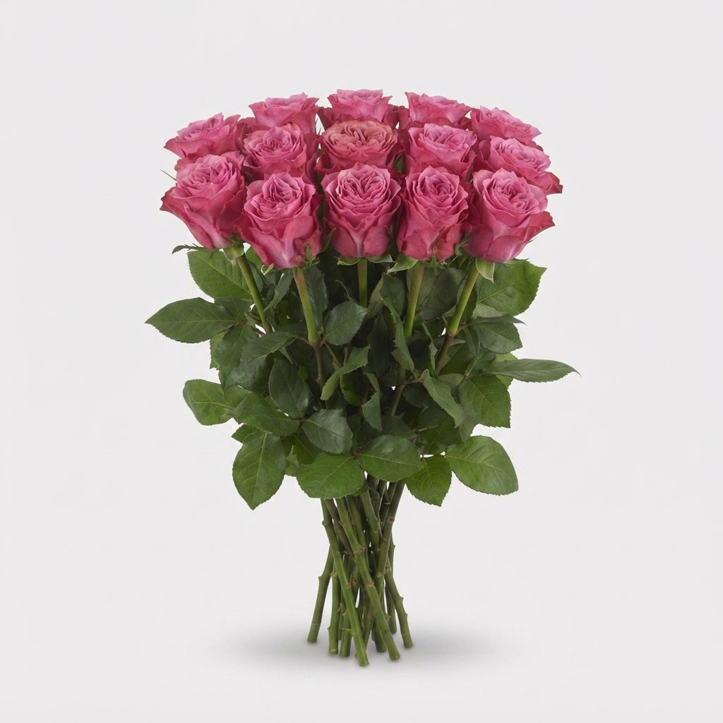Rose - Rosa - Country Spirit Blues