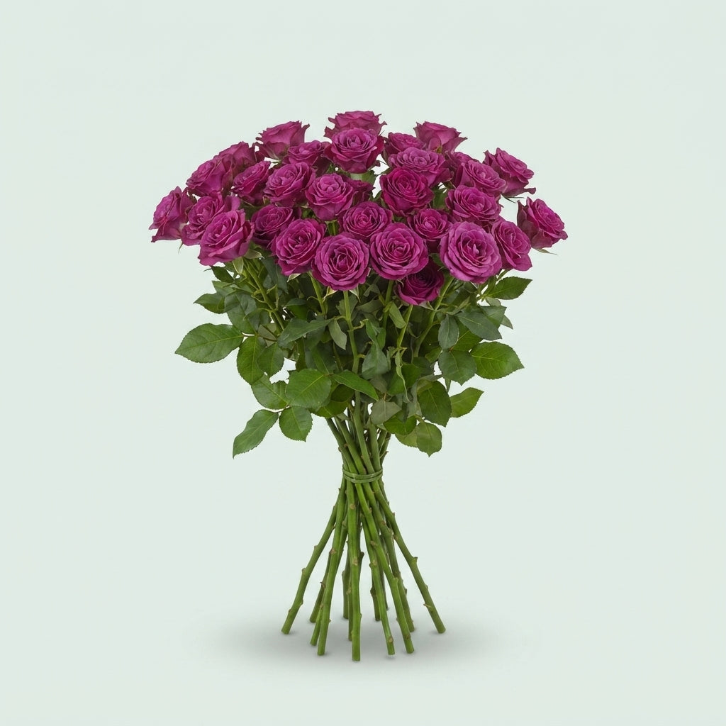 Spray Rose - Rosa - Cheyenne