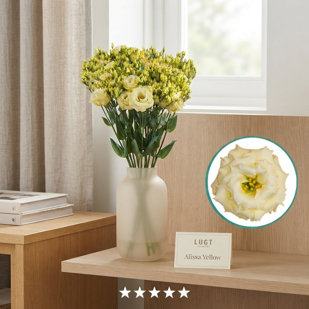 Lisianthus Alissa Yellow