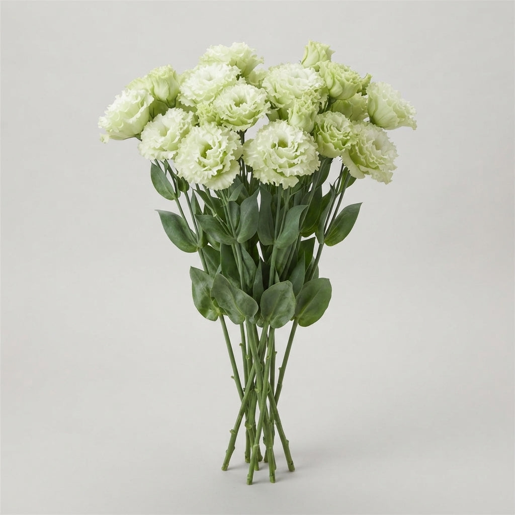 Lisianthus Alissa Green