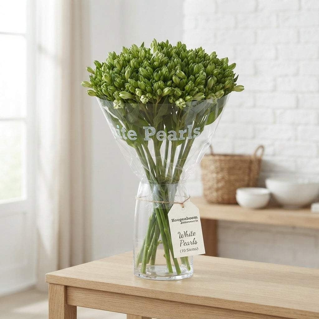 Alstroemeria White Pearls