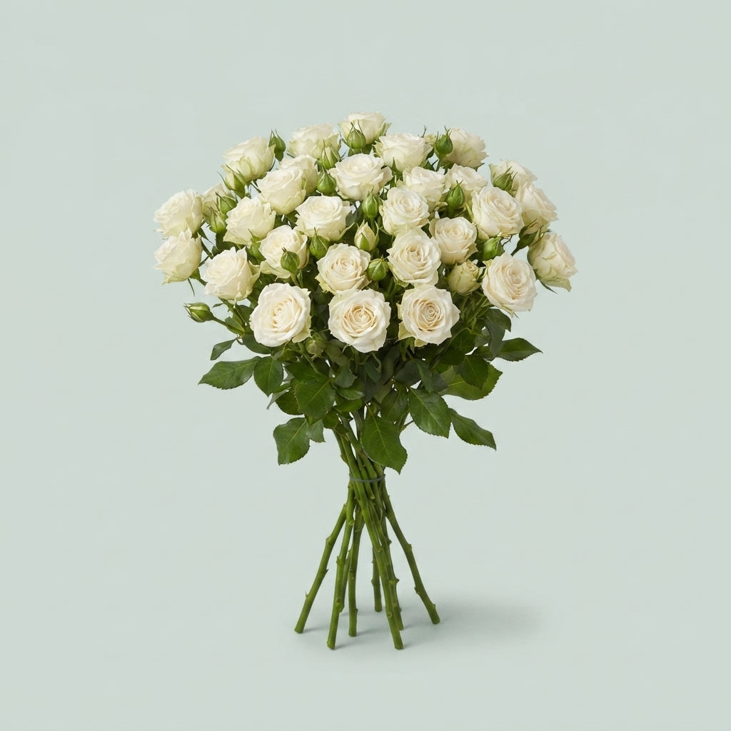 Spray Rose - Rosa - Bridal Flow