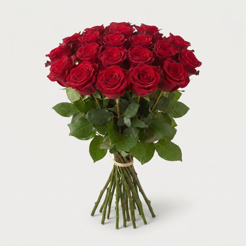 Rose - Rosa - Rhodos