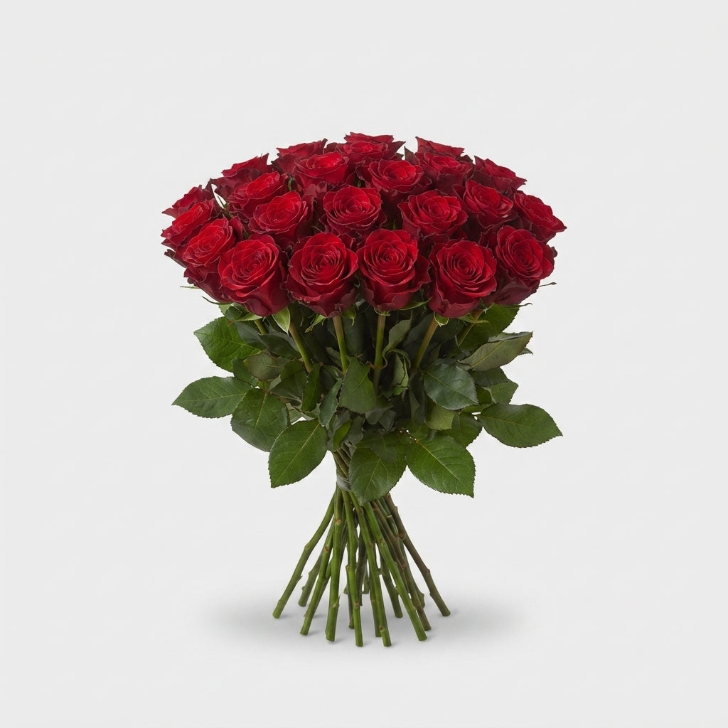 Rose - Rosa - Red Torch