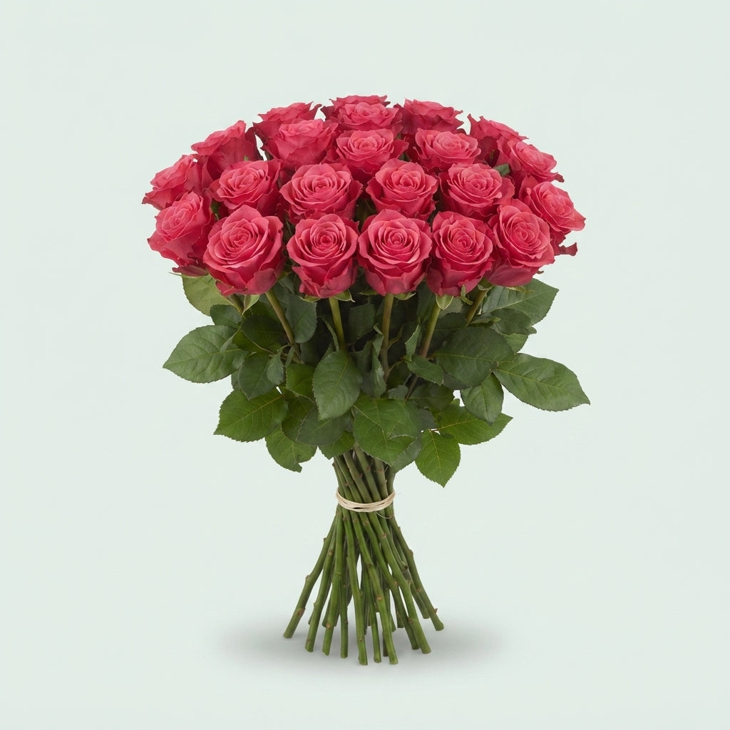 Rose - Rosa - Tacazzi+