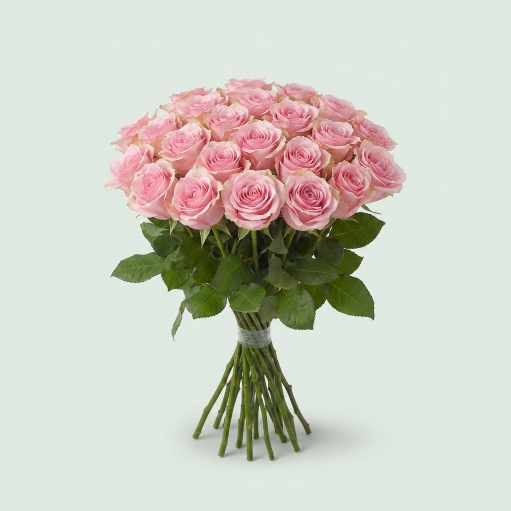 Rose - Rosa - Heaven