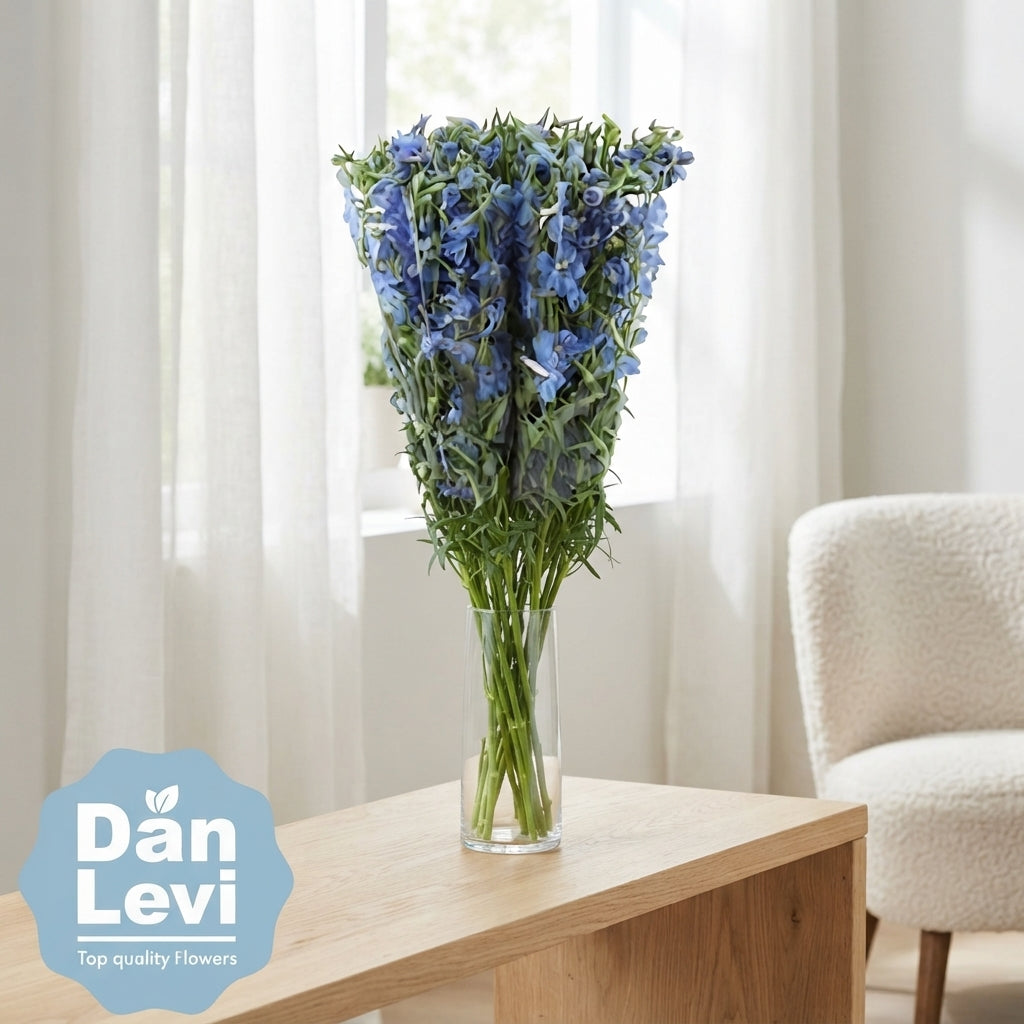 Blue Delphinium ‘Ballkleid’ – 70cm Stems