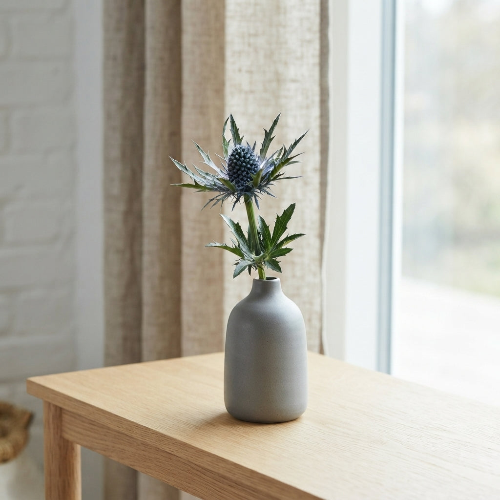 Purple Eryngium ‘Orion’ Cut Stems – 50cm