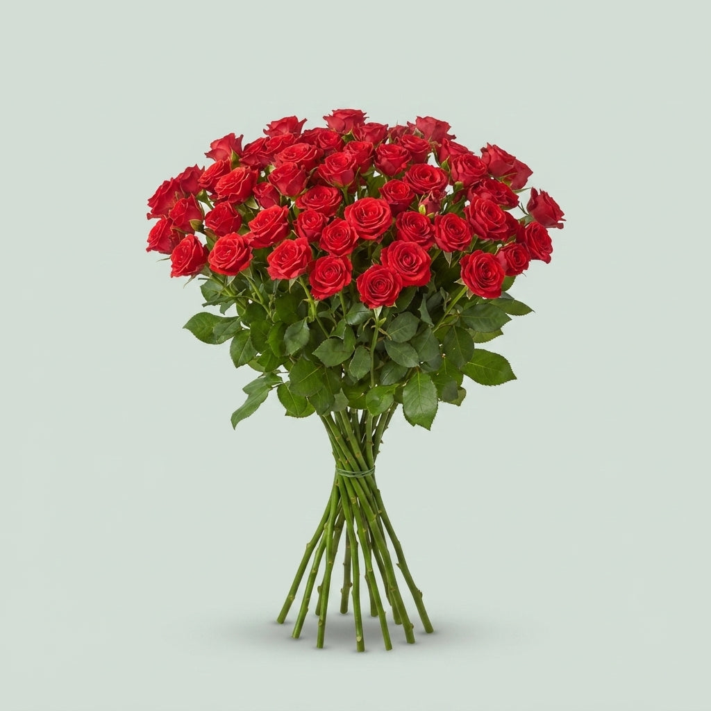 Spray Rose - Rosa - Mirabel