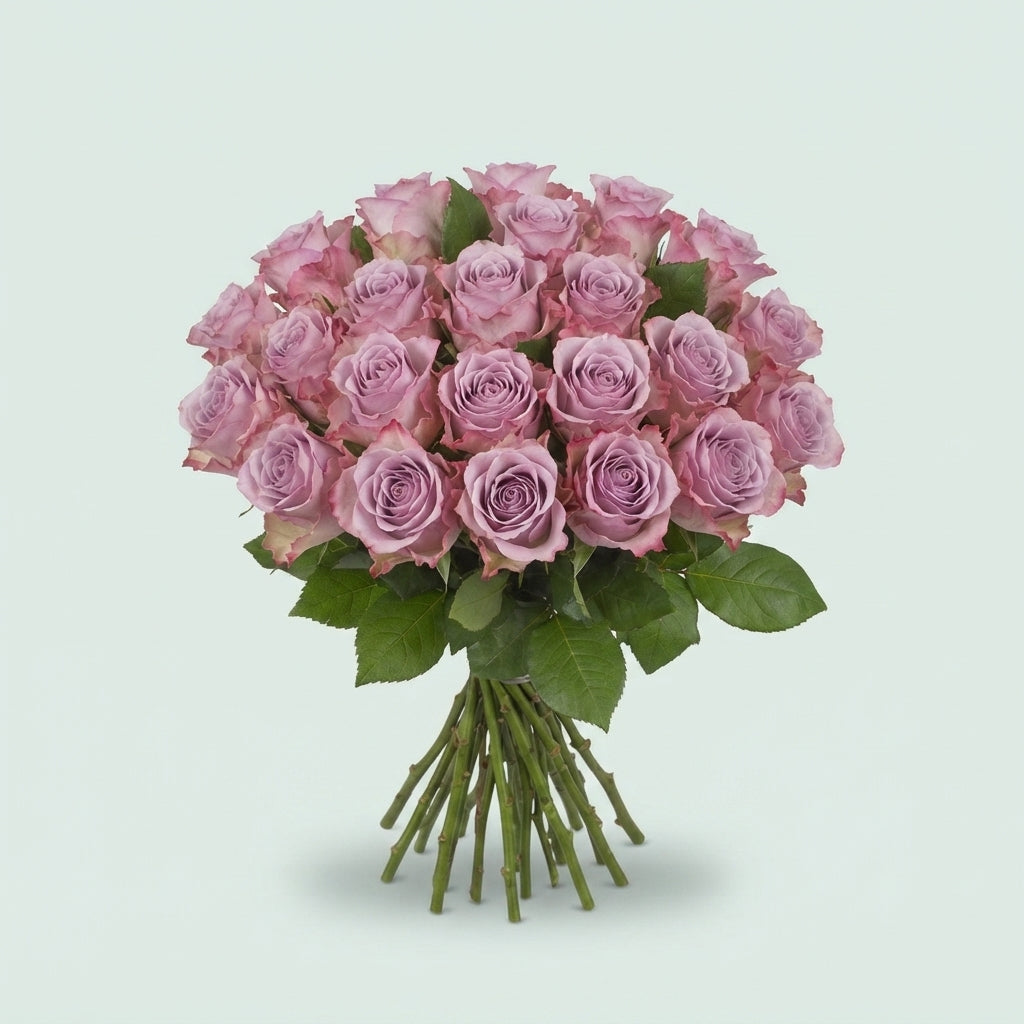 Rose - Rosa - Memory Lane