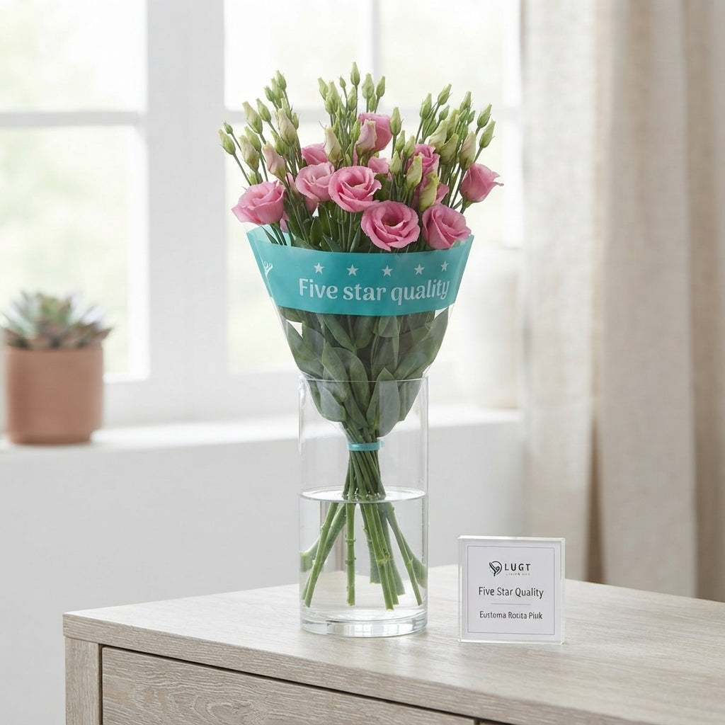 Lisianthus Rosita Champagne